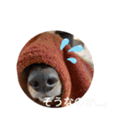 かわいいわんこ達♥（個別スタンプ：21）