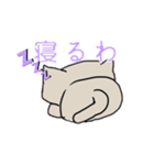 何だこの猫（個別スタンプ：2）
