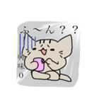 何だこの猫（個別スタンプ：3）