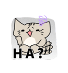 何だこの猫（個別スタンプ：4）