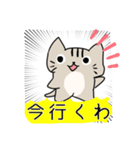 何だこの猫（個別スタンプ：5）