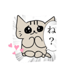 何だこの猫（個別スタンプ：7）