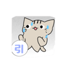 何だこの猫（個別スタンプ：8）
