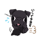 敬語あり毎日使える！黒パグのアポ(修正版)（個別スタンプ：24）