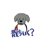 子犬のレトリバー（個別スタンプ：12）