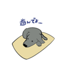 子犬のレトリバー（個別スタンプ：14）