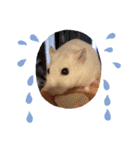 浜田少将（個別スタンプ：10）