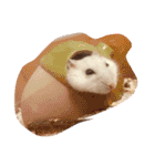 浜田少将（個別スタンプ：18）