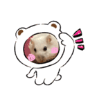 浜田少将（個別スタンプ：31）