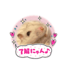 浜田少将（個別スタンプ：36）
