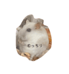 浜田少将（個別スタンプ：38）
