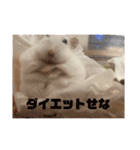 浜田少将（個別スタンプ：39）