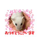 浜田少将（個別スタンプ：40）