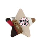 ちゃちゃ丸diary（個別スタンプ：3）