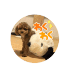 ちゃちゃ丸diary（個別スタンプ：11）