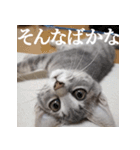 プリチー小梅（個別スタンプ：9）