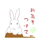 ひとことヴィオラ♪白うさぎ Ver.（個別スタンプ：24）