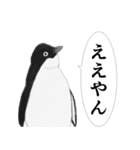 ペンギンは強い（フィニッシャーセット）（個別スタンプ：14）