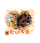 ご飯・肉大好きさんに（個別スタンプ：5）