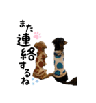 蘭花✻スタンプ（個別スタンプ：17）