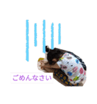 いずさんすたんぷ②（個別スタンプ：18）