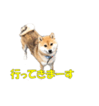 柴犬 ハンサムボーイ 龍王のスタンプ（個別スタンプ：21）