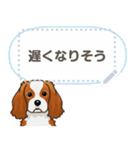 キャバリア(ブレンハイム) 日本語 1/2（個別スタンプ：2）