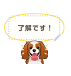 キャバリア(ブレンハイム) 日本語 1/2（個別スタンプ：3）