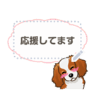 キャバリア(ブレンハイム) 日本語 1/2（個別スタンプ：4）