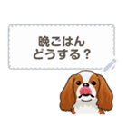 キャバリア(ブレンハイム) 日本語 1/2（個別スタンプ：7）