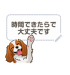 キャバリア(ブレンハイム) 日本語 1/2（個別スタンプ：10）