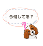 キャバリア(ブレンハイム) 日本語 1/2（個別スタンプ：12）