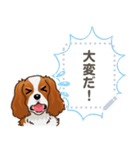 キャバリア(ブレンハイム) 日本語 1/2（個別スタンプ：15）