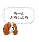 キャバリア(ブレンハイム) 日本語 1/2（個別スタンプ：16）