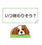 キャバリア(ブレンハイム) 日本語 1/2（個別スタンプ：18）