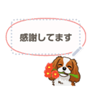 キャバリア(ブレンハイム) 日本語 1/2（個別スタンプ：19）