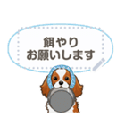 キャバリア(ブレンハイム) 日本語 1/2（個別スタンプ：20）