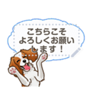 キャバリア(ブレンハイム) 日本語 1/2（個別スタンプ：22）