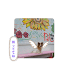 ぱぴぱぴパピヨン74（個別スタンプ：17）