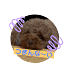 ぽんかん犬の日常①（個別スタンプ：22）