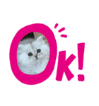 メルちゃんスタンプ✩（個別スタンプ：3）