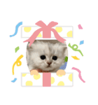 メルちゃんスタンプ✩（個別スタンプ：5）