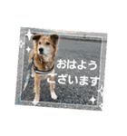 こいはるスタンプの巻1（個別スタンプ：3）
