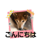 こいはるスタンプの巻1（個別スタンプ：6）
