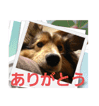 こいはるスタンプの巻1（個別スタンプ：18）