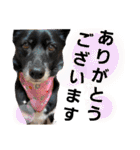 こいはるスタンプの巻1（個別スタンプ：20）
