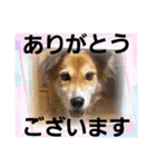 こいはるスタンプの巻1（個別スタンプ：21）