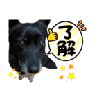 こいはるスタンプの巻1（個別スタンプ：26）