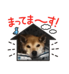 こいはるスタンプの巻1（個別スタンプ：27）