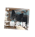 こいはるスタンプの巻1（個別スタンプ：32）
